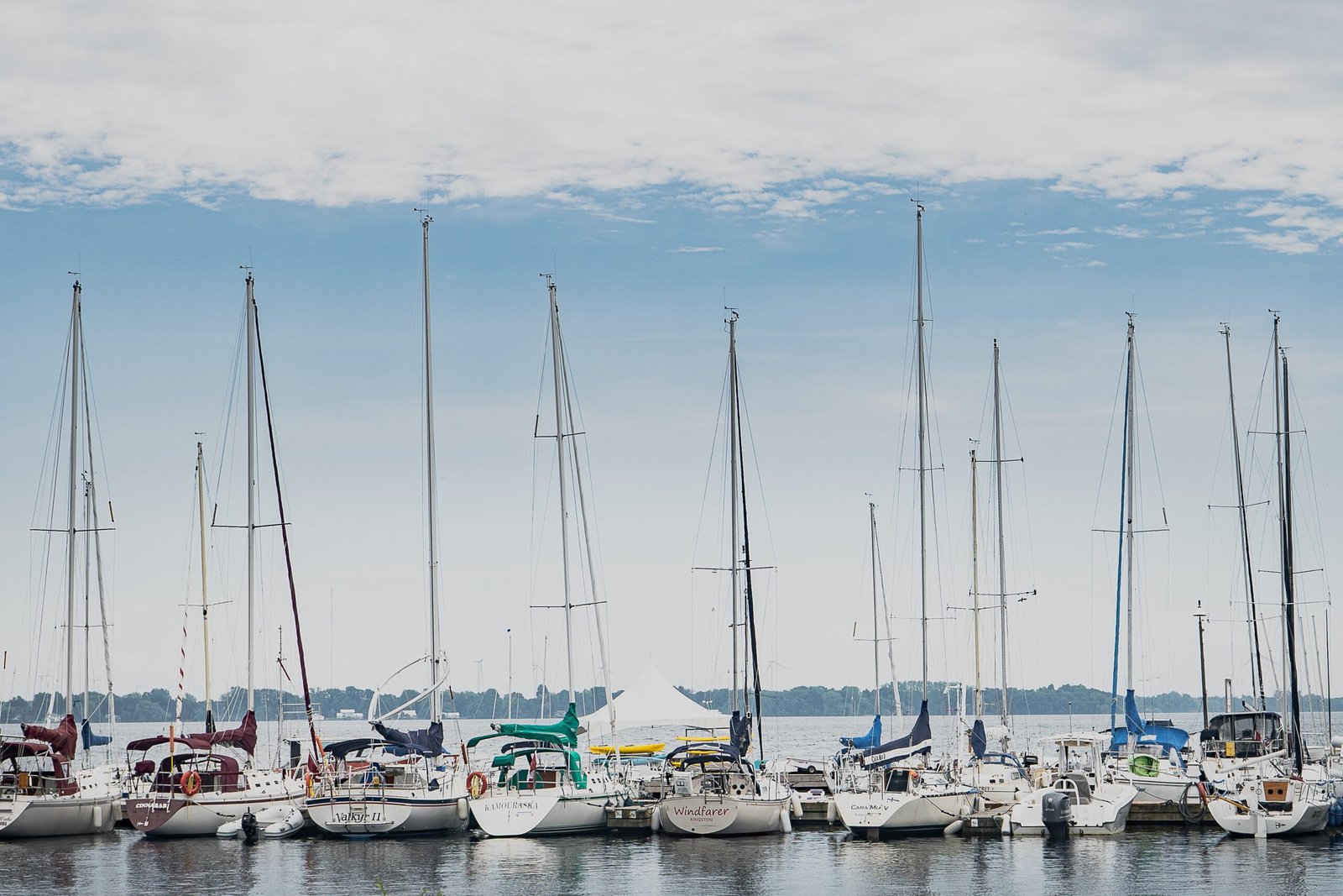 row-of-boats-docked